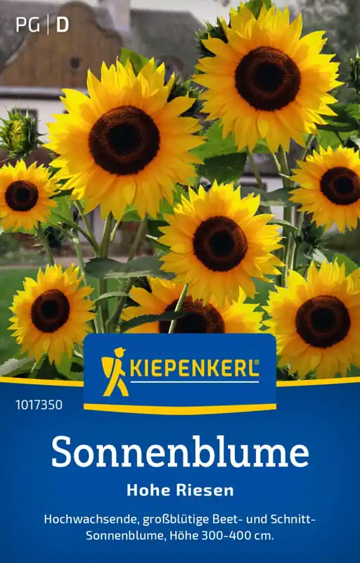 Kiepenkerl Zonnebloem Hohe Riesen | Expreslevering