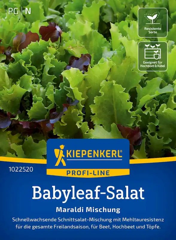Kiepenkerl Babyleaf "Maraldi Mix" - Uitverkoop