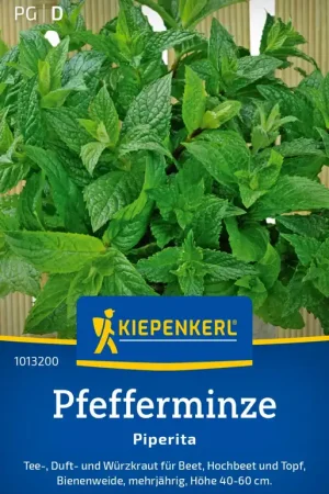 Alleen deze week | Kiepenkerl Pepermunt "Piperita"
