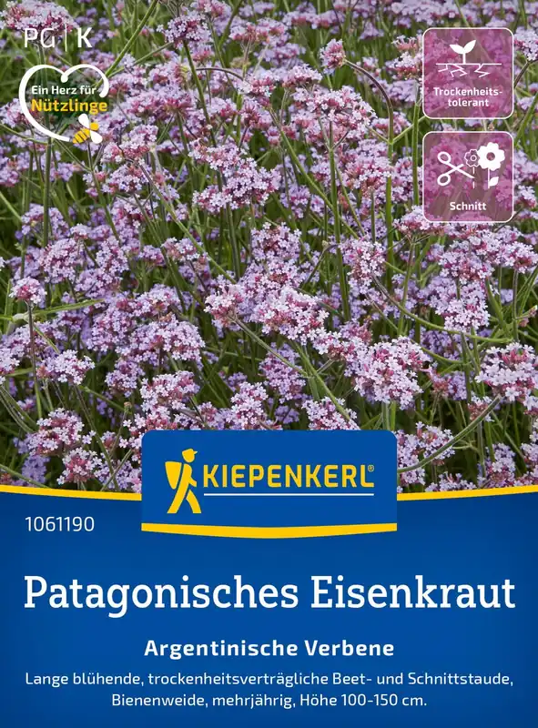 Kiepenkerl Patagonische Verbena "Argentinische Verbene" | Populair bij klanten