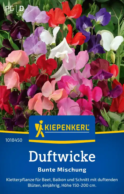Sale - Kiepenkerl Welriekende Lathyrus - Kleurige Mix