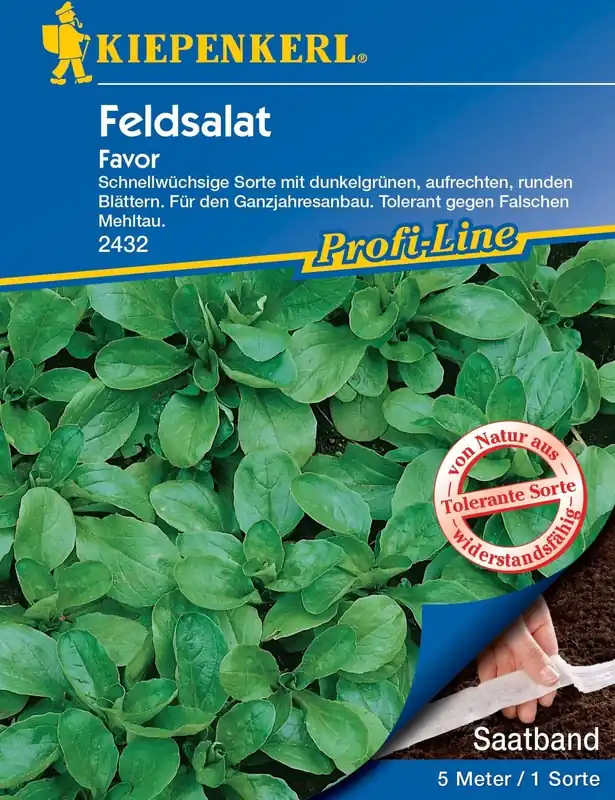 Kiepenkerl Veldsla Favor - Zaadband - Premium