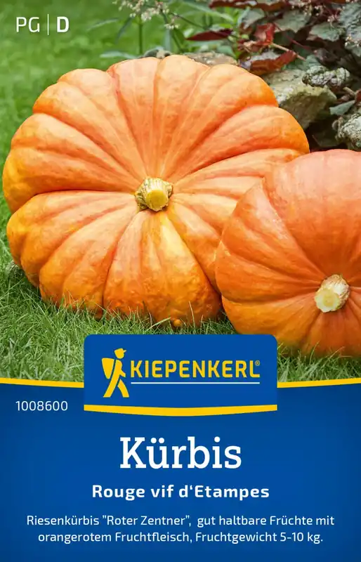 Kiepenkerl Pompoen - Rouge vif d‘Etampes - Net toegevoegd