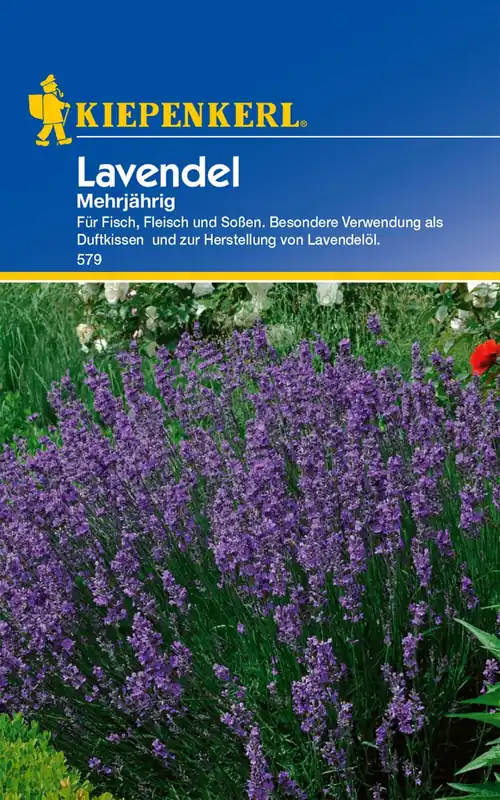 Kiepenkerl Lavendel - Premiumkwaliteit