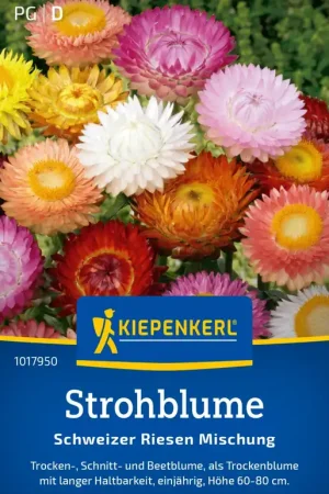 Favoriet van klanten | Kiepenkerl Zwitserse Strobloemen -- Reusachtige Mix