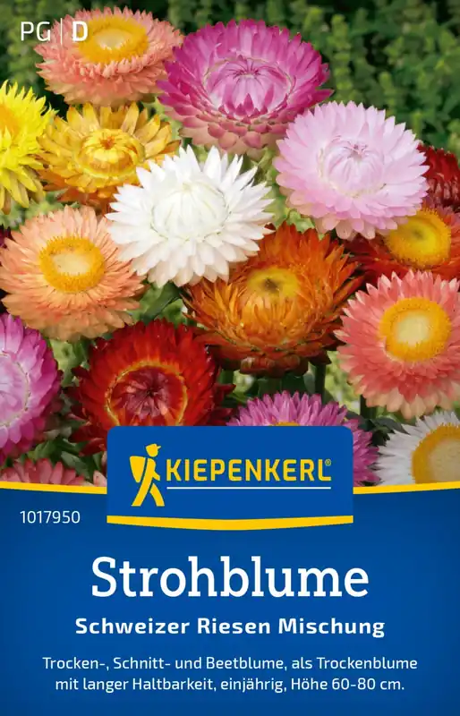 Favoriet van klanten | Kiepenkerl Zwitserse Strobloemen -- Reusachtige Mix