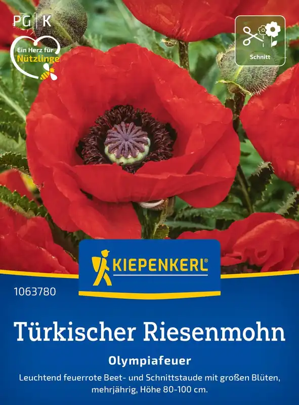 Kiepenkerl Turkse Reuzenpapaver Olympiafeuer - Erg populair
