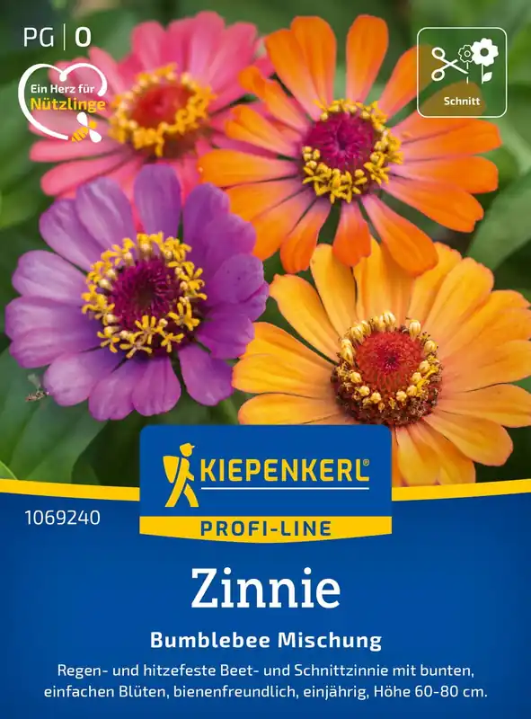 Kiepenkerl Zinnie Bumblebee | Opruiming