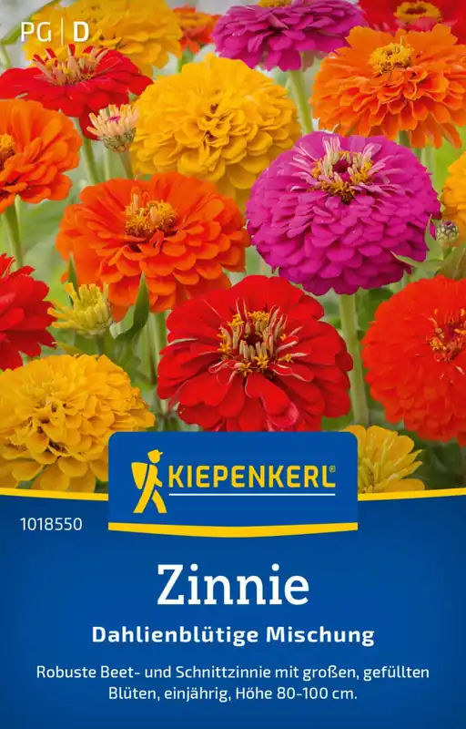 Kiepenkerl Zinnia "Dahlienblütige Mischung" - Nieuw binnengekomen
