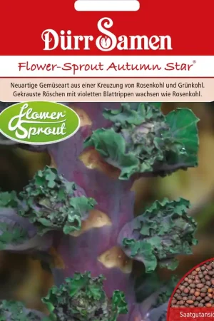 Klaar voor verzending - Dürr Samen Flower-Sprout Autumn Star® Kool
