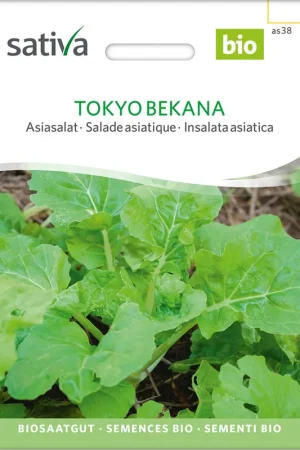 Bestelbaar | Sativa Biologische Aziatische sla Tokyo Bekana