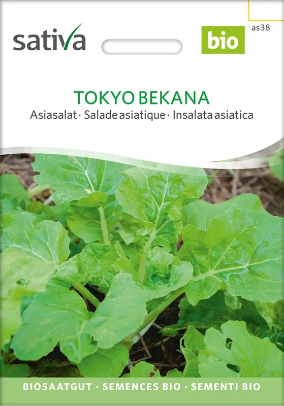 Bestelbaar | Sativa Biologische Aziatische sla Tokyo Bekana