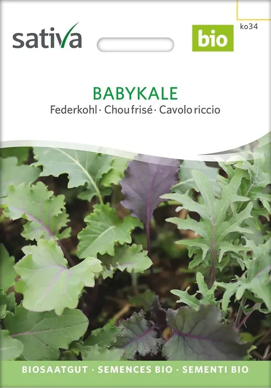Sativa Biologische Boerenkool Babykale - Verlaagde prijs