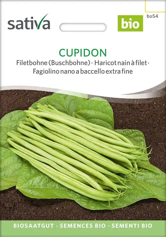 Sativa Biologische Snijboon Cupidon - Snelle levering