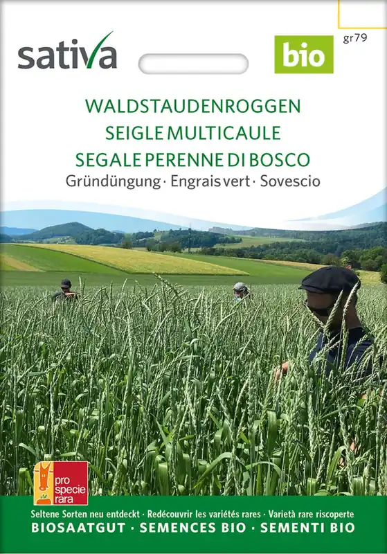 Sativa Biologische Groenbemester "Waldstauden Roggen" | Fabrieksprijs
