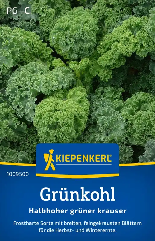 Kiepenkerl Boerenkool - Halfhoge Groene Kool - Extra korting