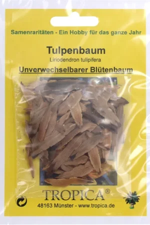 Beste prijs - TROPICA Amerikaanse tulpenboom