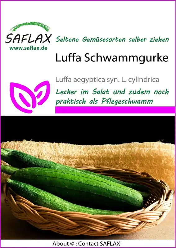 Saflax Sponskomkommer | Op voorraad