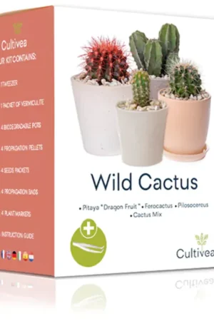 Cultivea Mini Kit - Wild Cactus - Favoriet van klanten