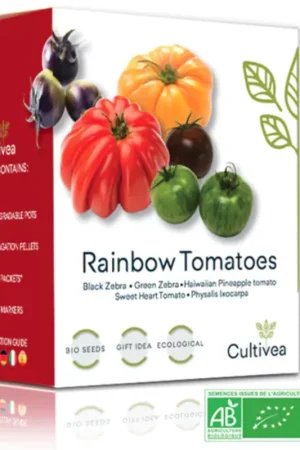 Cultivea Mini Kit - Rainbow Tomatoes | Nog enkele stuks