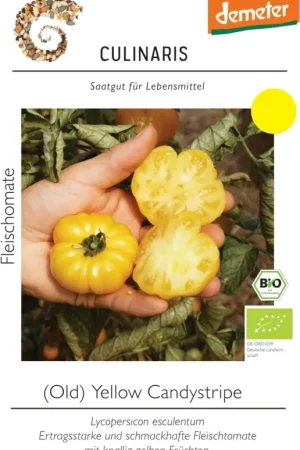 Culinaris Biologische Vleestomaat "Old Yellow Candystripe" | Nu beschikbaar