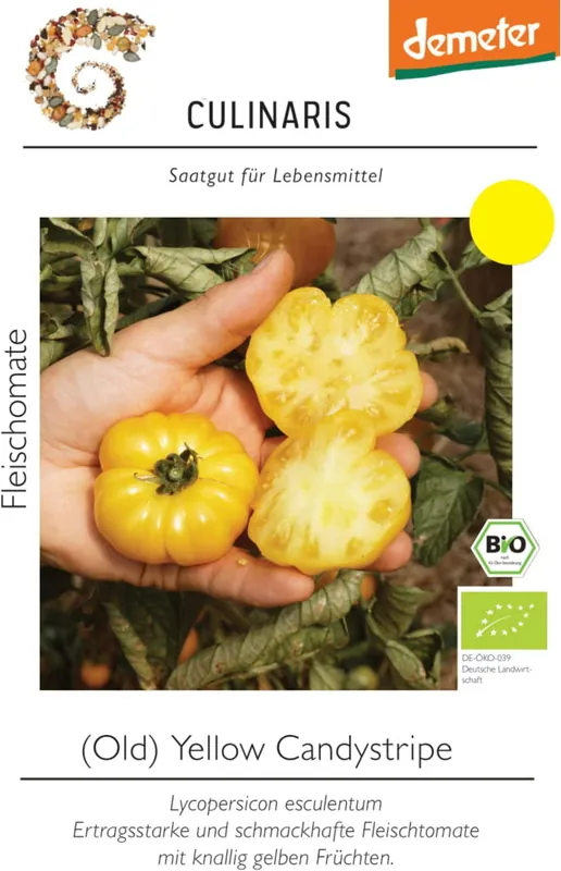 Culinaris Biologische Vleestomaat "Old Yellow Candystripe" | Nu beschikbaar