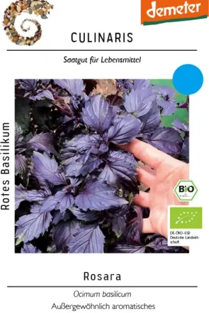 Culinaris Biologische Rode Basilicum - Rosara | Bestelbaar