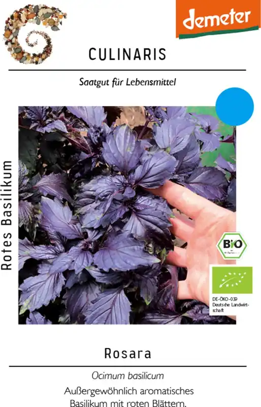Culinaris Biologische Rode Basilicum - Rosara | Bestelbaar