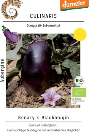 Goed beoordeeld - Culinaris Biologische Aubergine - Benary´s Blaukönigin