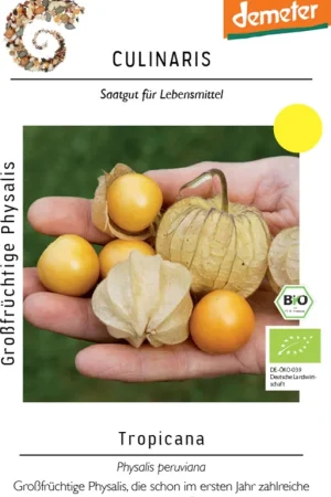 Koop vandaag - Culinaris Biologische Grootvruchtige Physalis Tropicana