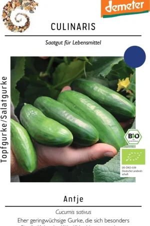 Culinaris Biologische Komkommer - Meest verkocht