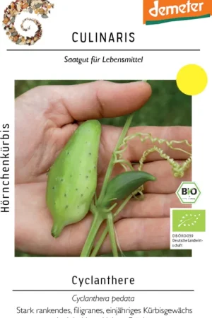 Culinaris Biologische Honingpompoen Cyclanthere | Premium