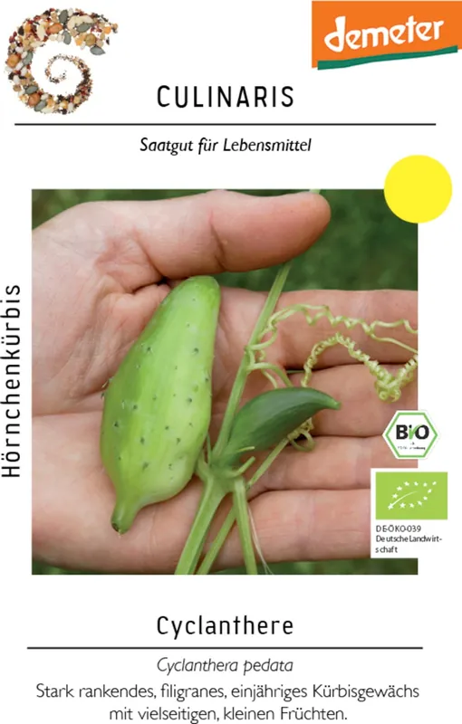 Culinaris Biologische Honingpompoen Cyclanthere | Premium