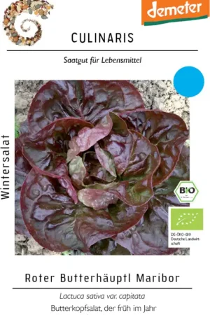 Trending - Culinaris Biologische Wintersla Red Butterhäuptl Maribor