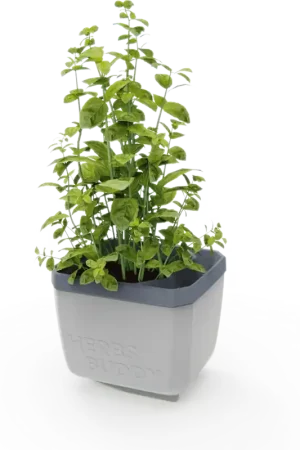 GUSTA GARDEN HERBS BUDDY Kruidenpot, Wit - Veilig winkelen