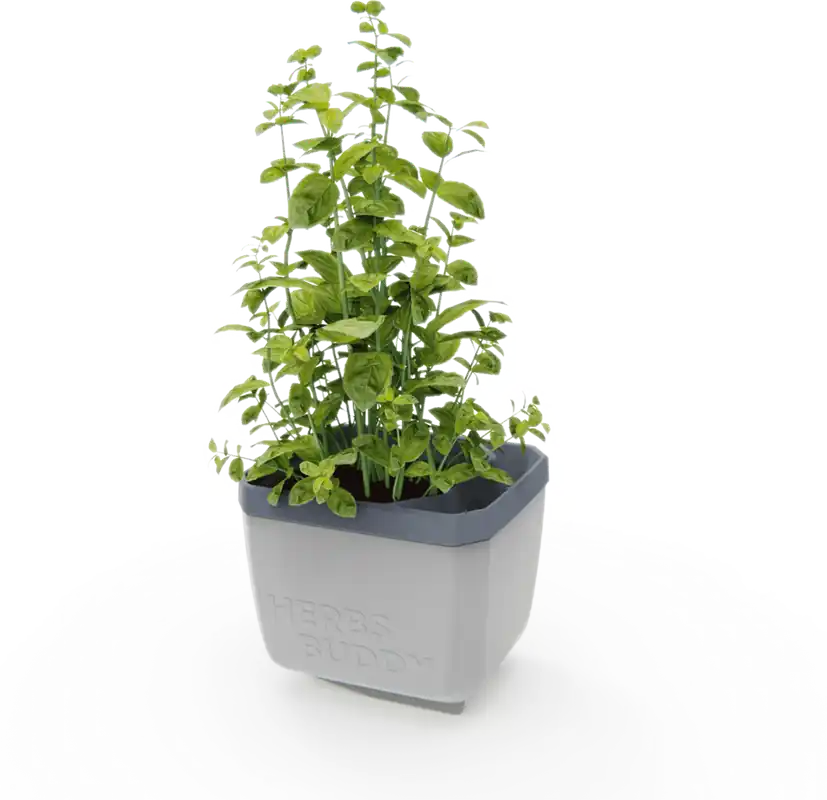 GUSTA GARDEN HERBS BUDDY Kruidenpot, Wit - Veilig winkelen