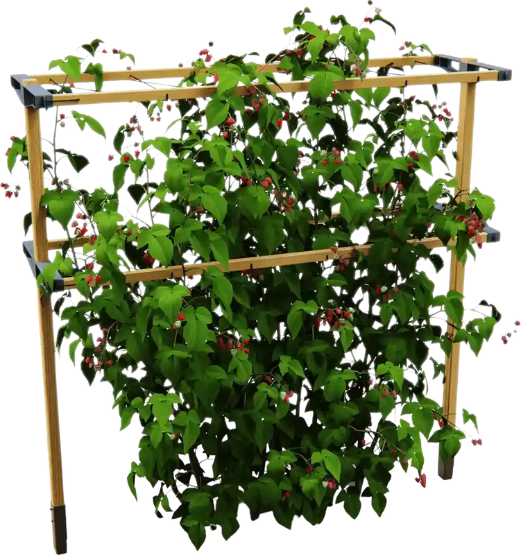 GUSTA GARDEN BERRY BUDDY Klimhulp, Breedte 240cm - Direct leverbaar
