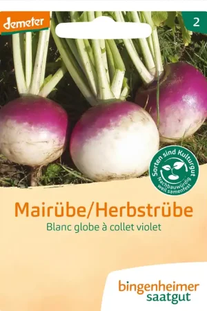 Net binnen - Bingenheimer Saatgut Meiraap "Blanc Globe a Collet Violet"