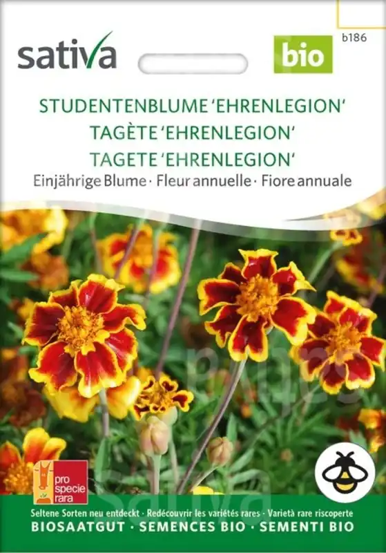 Sativa Biologische Goudsbloem "Ehrenlegion" - Vanaf nu beschikbaar