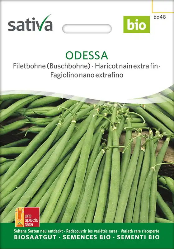 Sativa Biologische Struikboon "Odessa" | Direct van de fabrikant
