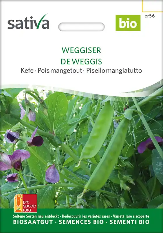 Sativa Biologische Suikererwt "Weggiser" | Veel voordeel