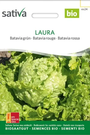 Uitverkoop | Sativa Biologisch Batavia Groen "Laura"