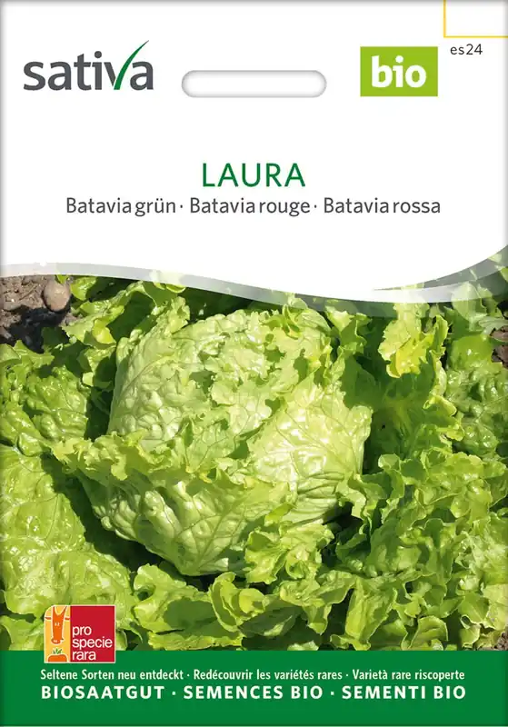 Uitverkoop | Sativa Biologisch Batavia Groen "Laura"