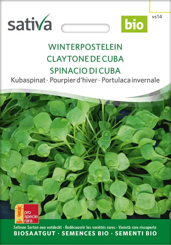 Extra korting - Sativa Biologische Spinanzie "Winterpostelein"