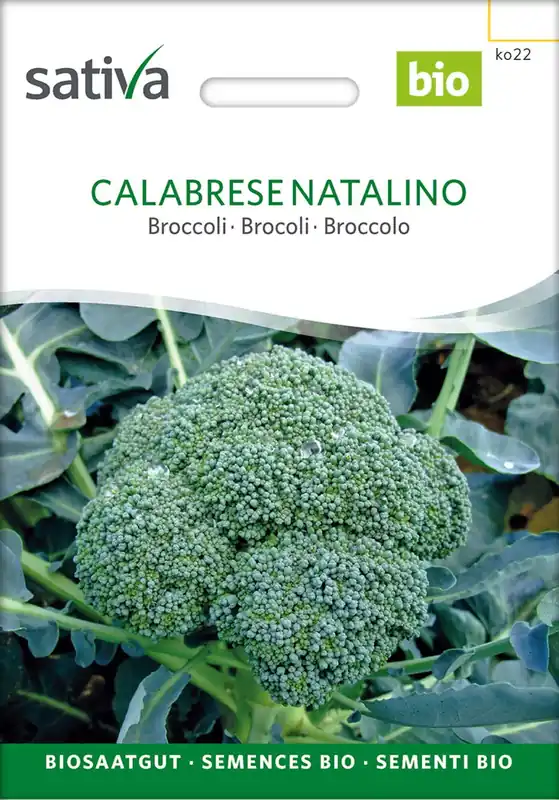 Nieuw binnengekomen - Sativa Biologische Broccoli "Calabrese Natalino"