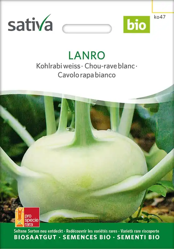 Speciale aanbieding | Sativa Biologische Witte Koolrabi "Lanro"