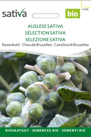 Uitverkoop | Sativa Biologische Kiemen "Auslese Sativa"