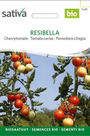 Beperkte voorraad | Sativa Biologische Cherrytomaat "Resibella"