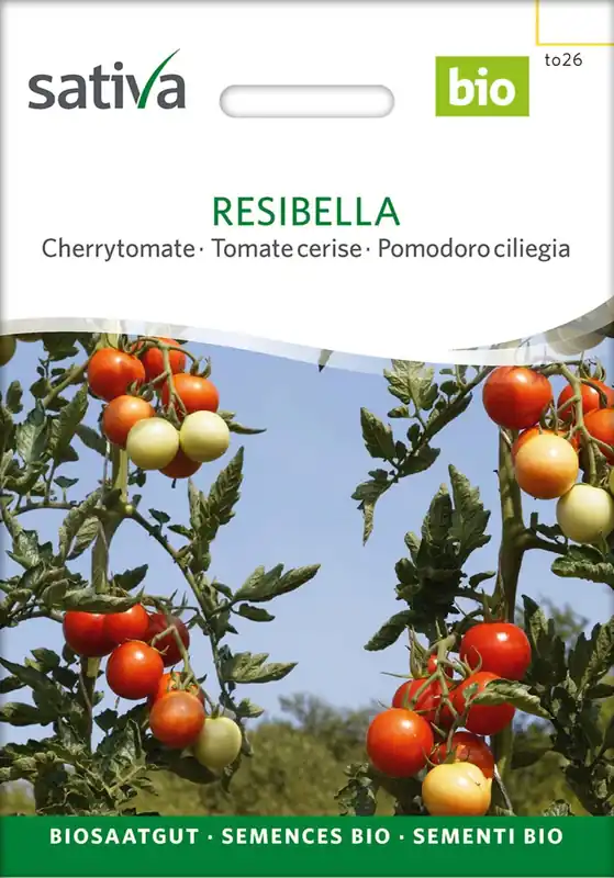 Beperkte voorraad | Sativa Biologische Cherrytomaat "Resibella"