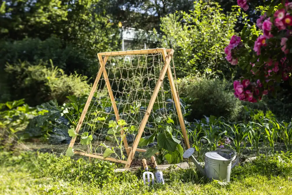 Beste prijs | Windhager Houten Klimhulp